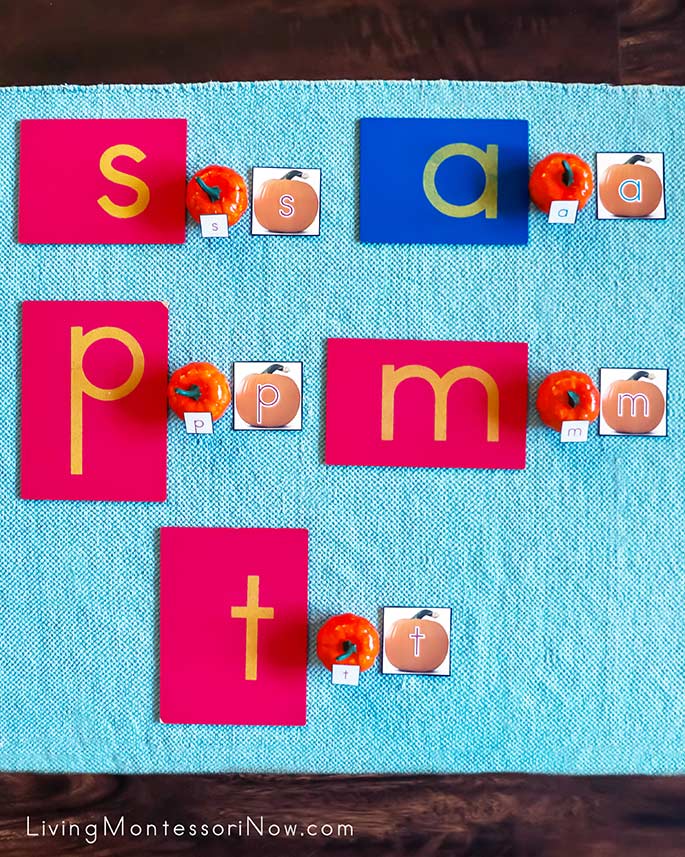 Matching Sandpaper Letters with Letter Pumpkins and Pumpkin Alphabet Cards Matching Sandpaper Letters with Letter Pumpkins and Pumpkin Alphabet Cards