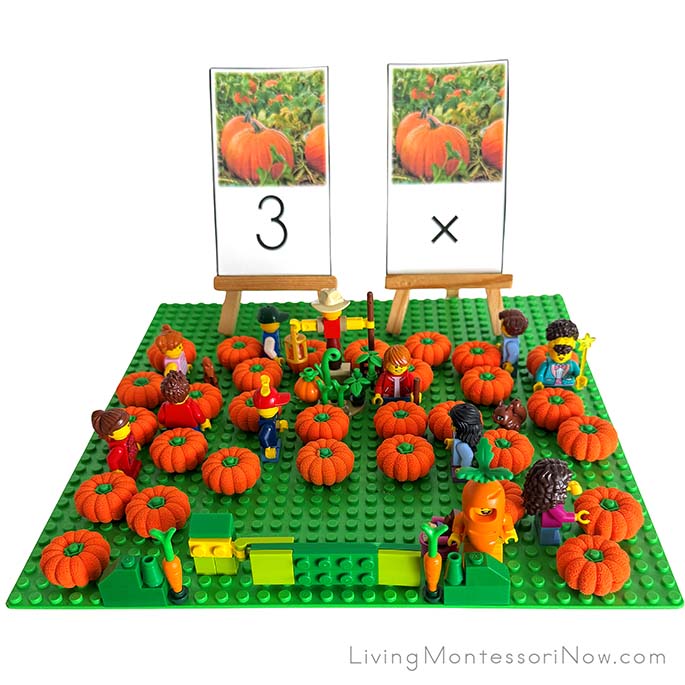 Pumpkin Patch Multiplication Activity Pumpkin Patch Multiplication Activity