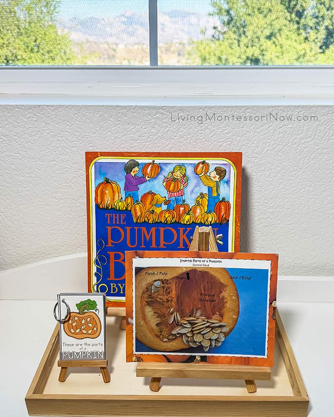 The Pumpkin Book with Parts of a Pumpkin Activities The Pumpkin Book with Parts of a Pumpkin Activities