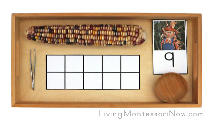 Tweezing Flint Corn with Ten Frame and Scarecrow Numbers Tweezing Flint Corn with Ten Frame and Scarecrow Numbers