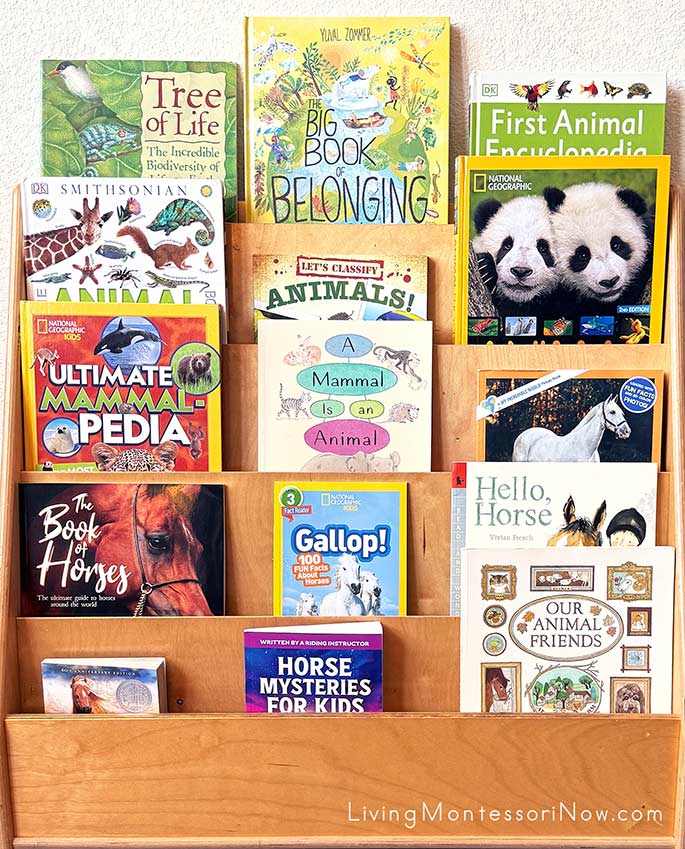 Books for a Horse Unit Books for a Horse Unit