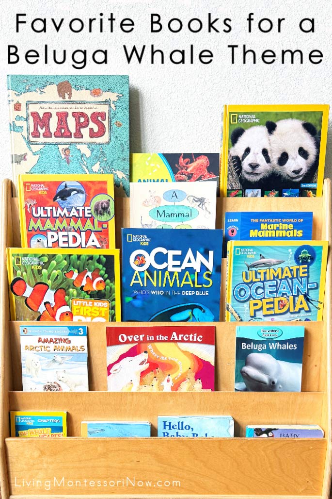Favorite Books for a Beluga Whale Theme Favorite Books for a Beluga Whale Theme