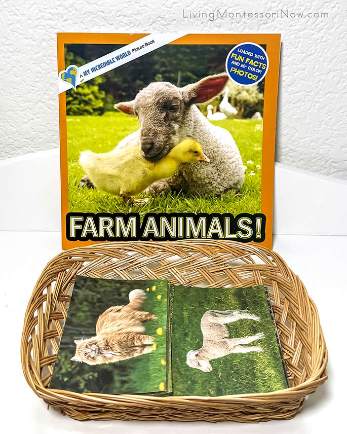 Farm Animals Book with Farm Animal Adults and Babies Cards Farm Animals Book with Farm Animal Adults and Babies Cards