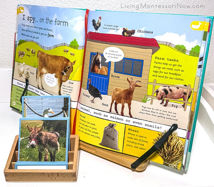 Farm Pages from My Encyclopedia of Very Important Things and Farm Animal 3-Part Cards Farm Pages from My Encyclopedia of Very Important Things and Farm Animal 3-Part Cards