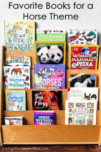 Favorite Books for a Horse Theme Favorite Books for a Horse Theme