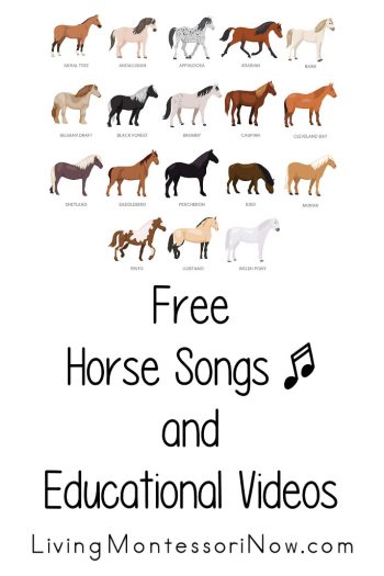 Free Horse Songs and Educational Videos Free Horse Songs and Educational Videos