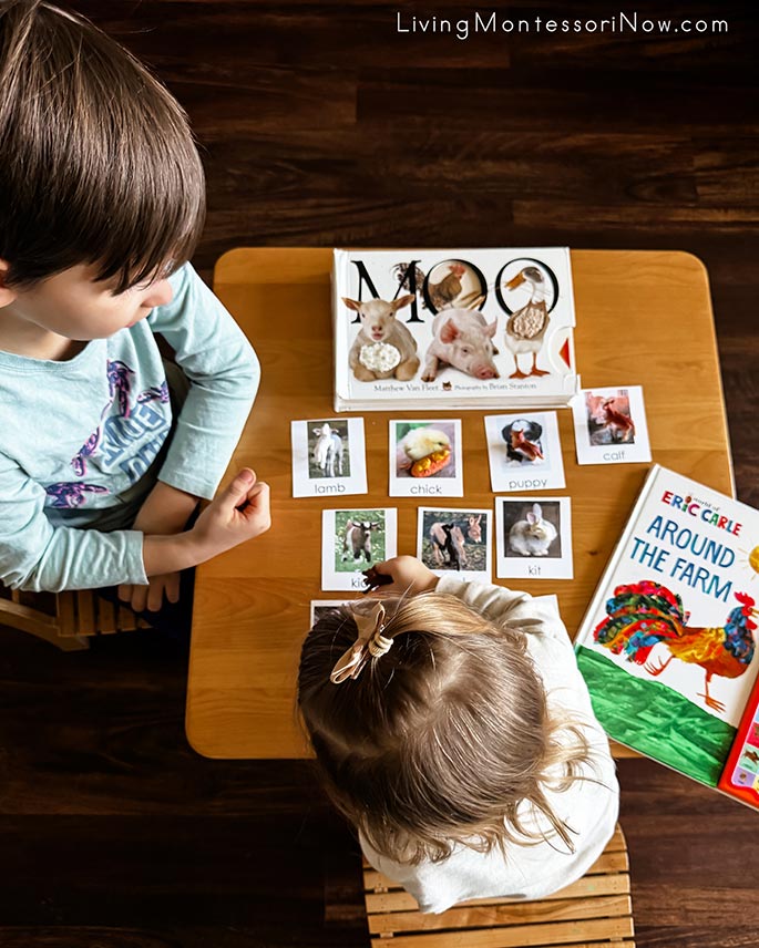 Matching Farm Animal Babies to Cards with Her Brother's Help Matching Farm Animal Babies to Cards with Her Brother's Help