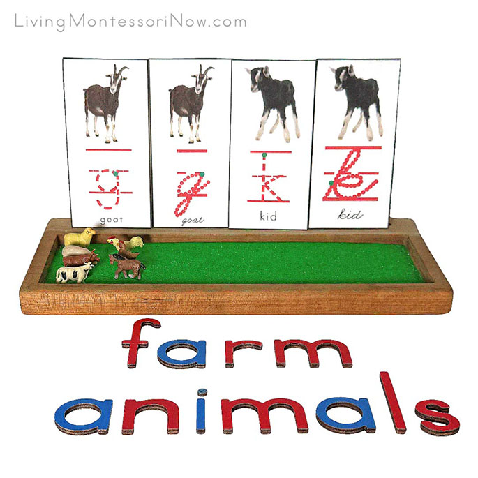 Sand Writing Tray for a Farm Animal Theme Sand Writing Tray for a Farm Animal Theme