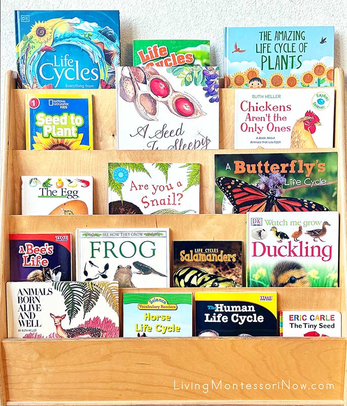 Books for a Life Cycle Theme Books for a Life Cycle Theme