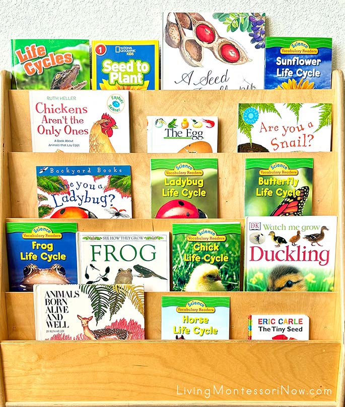 Books for a Life Cycle Unit Books for a Life Cycle Unit