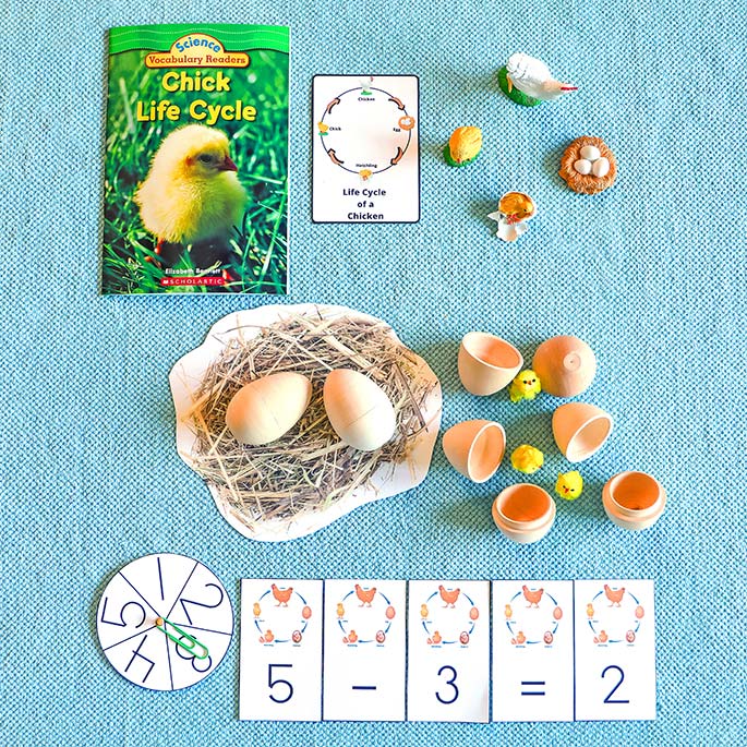 Chicken Life Cycle and Subtraction Activity Chicken Life Cycle and Subtraction Activity
