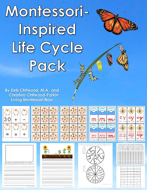 Montessori-Inspired Life Cycle Pack