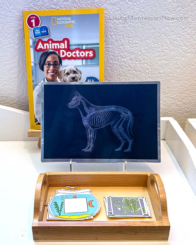 Animal Doctors Book with Pet X-ray Activities Animal Doctors Book with Pet X-ray Activities