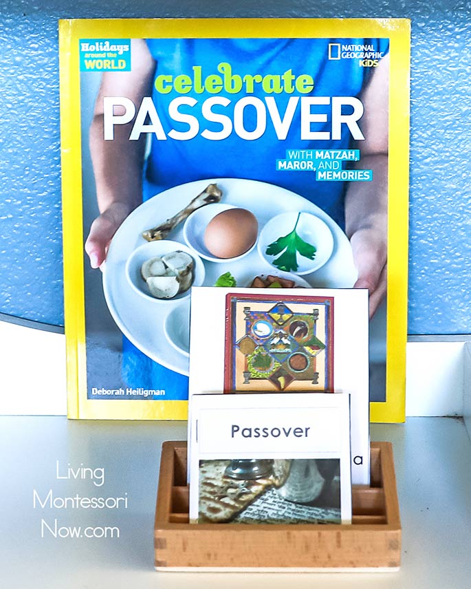 Celebrate Passover Book with Passover Cards and Booklet Celebrate Passover Book with Passover Cards and Booklet