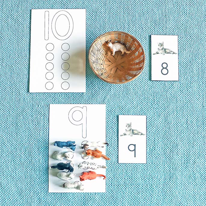 Counting Cats Activity Counting Cats Activity