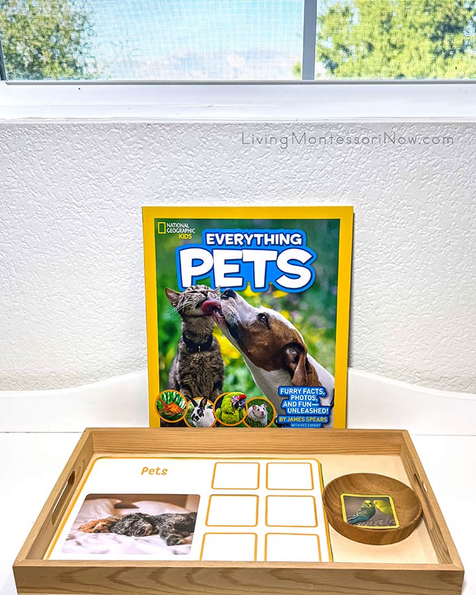 Everything Pets Book with Pets and Wild Animals Sort Everything Pets Book with Pets and Wild Animals Sort