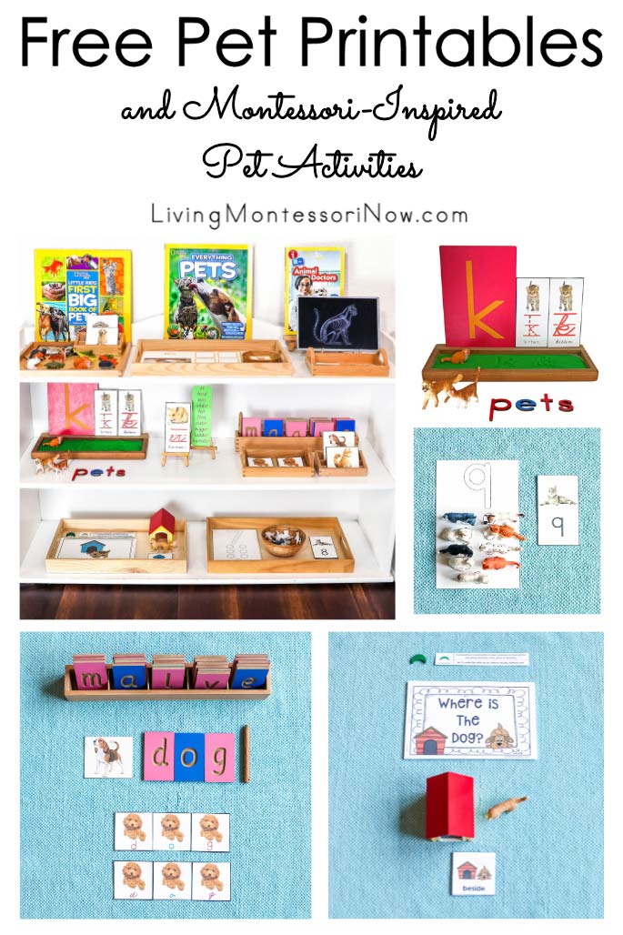 Free Pet Printables and Montessori-Inspired Pet Activities Free Pet Printables and Montessori-Inspired Pet Activities