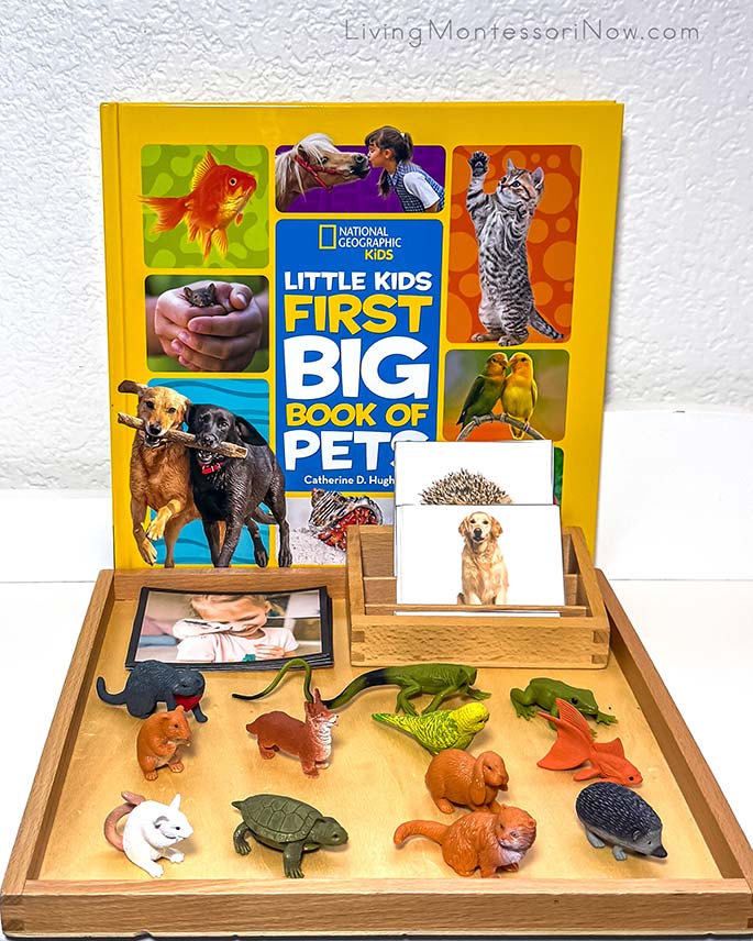 Little Kids First Big Book of Pets with Pet Language Photos, 3-Part Cards, and TOOB Figures Little Kids First Big Book of Pets with Pet Language Photos, 3-Part Cards, and TOOB Figures