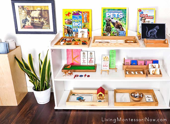 Montessori Shelves with Pet-Themed Activities and The Piano Lesson Art Print Montessori Shelves with Pet-Themed Activities and The Piano Lesson Art Print