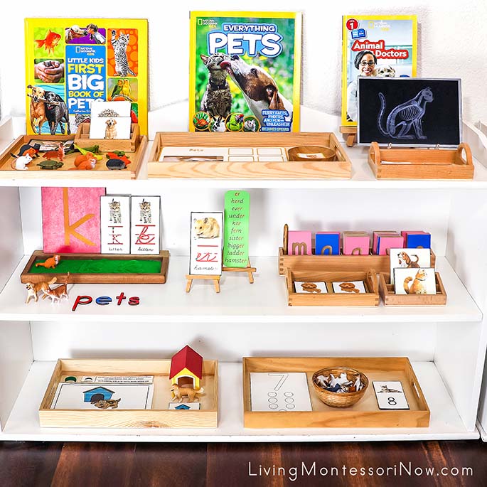 Montessori Shelves with Pet-Themed Activities Montessori Shelves with Pet-Themed Activities