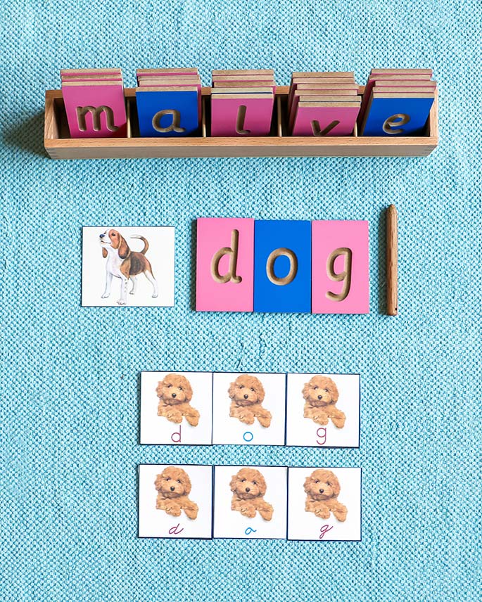 Pet CVC Work Pet CVC Work