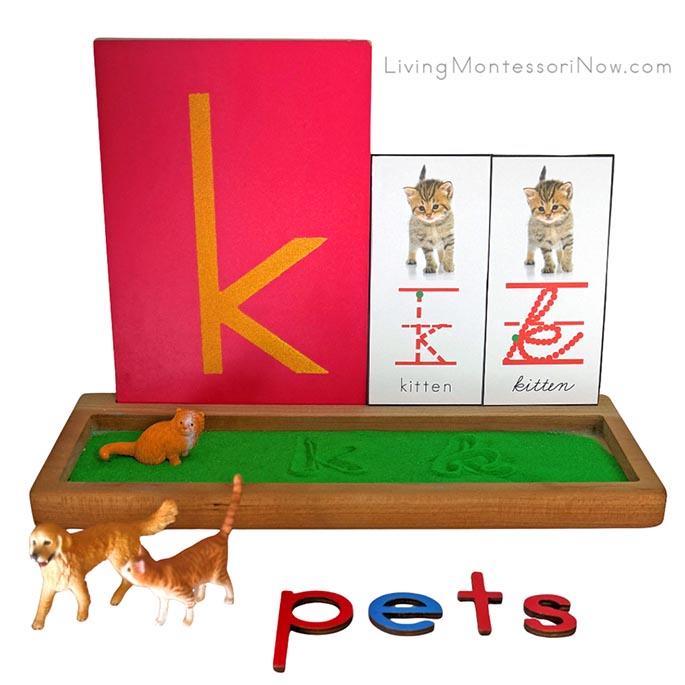 Sand Writing Tray for a Pet Theme Sand Writing Tray for a Pet Theme