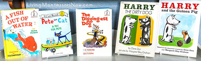 Shelf with Pet Fun Fiction Books Shelf with Pet Fun Fiction Books