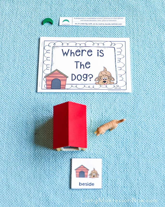 Where Is the Dog? Preposition Work Where Is the Dog? Preposition Work