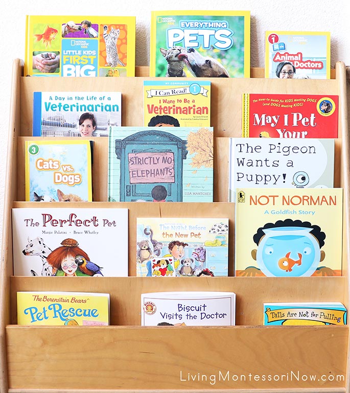 Books for a Pet Theme Books for a Pet Theme