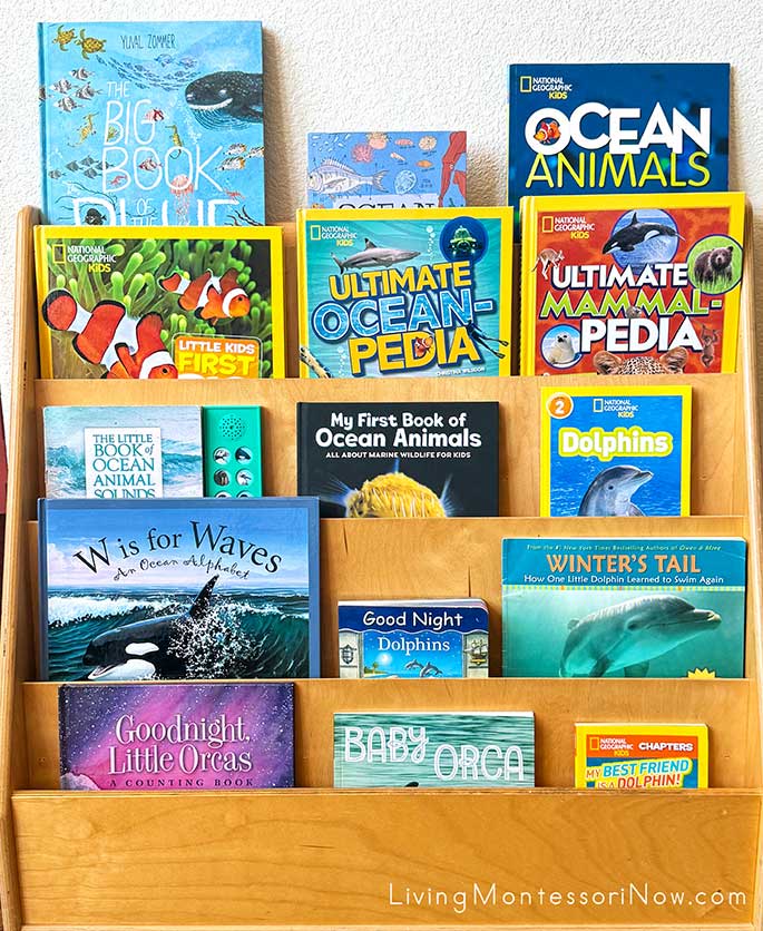 Books for a Dolphin Unit Books for a Dolphin Unit
