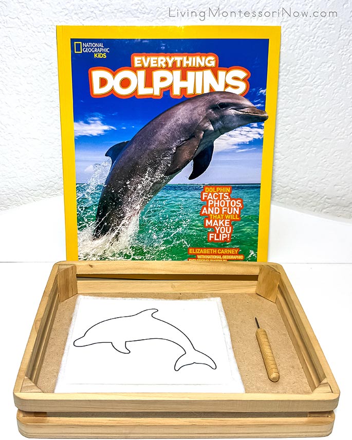 Everything Dolphins Book with Dolphin Pin Poking Everything Dolphins Book with Dolphin Pin Poking