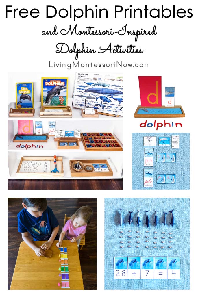 Free Dolphin Printables and Montessori-Inspired Dolphin Activities Free Dolphin Printables and Montessori-Inspired Dolphin Activities