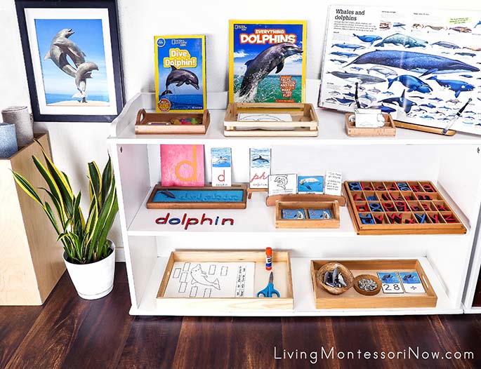 Montessori Shelves with Dolphin-Themed Activities and Photo of Dancing Dolphins Sculpture Montessori Shelves with Dolphin-Themed Activities and Photo of Dancing Dolphins Sculpture