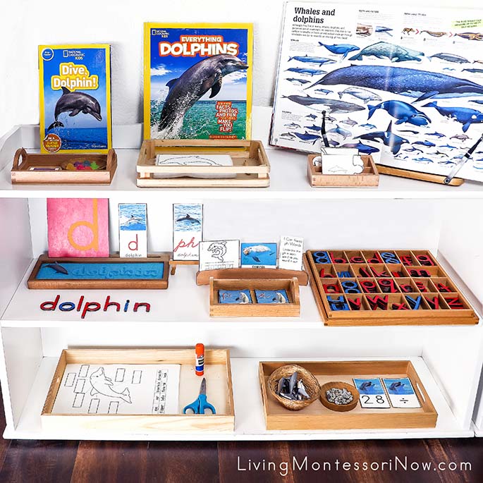 Montessori Shelves with Dolphin-Themed Activities Montessori Shelves with Dolphin-Themed Activities