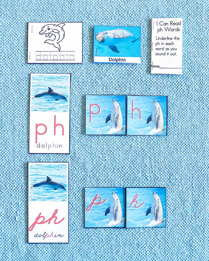 Ph in Dolphin Work Ph in Dolphin Work