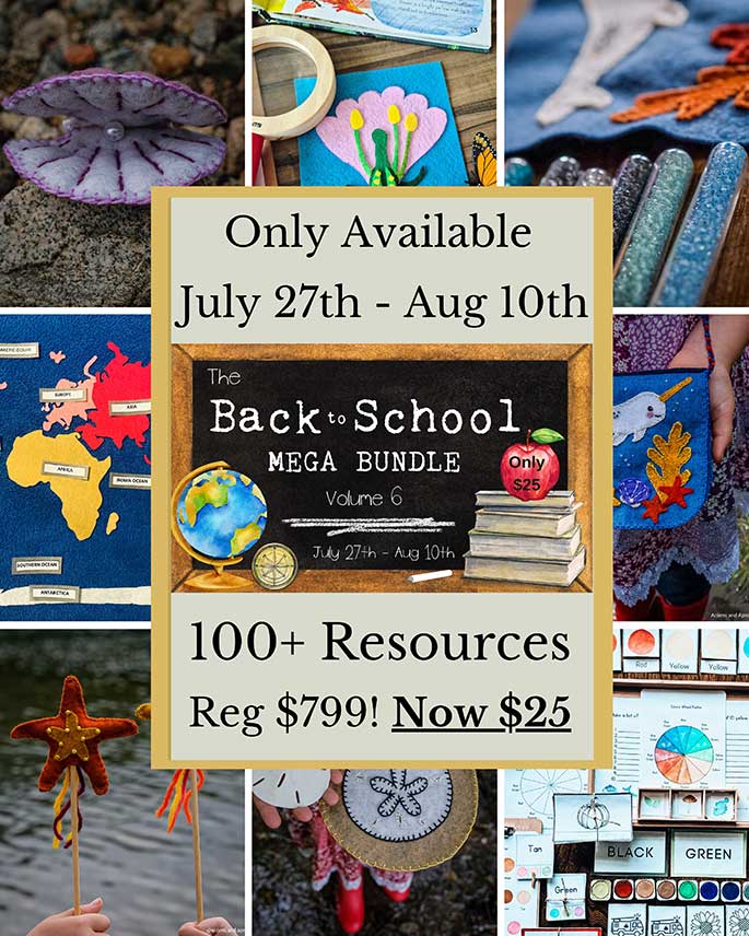 Back to School Mega Bundle Only $25 for Over $800 Worth of Digital Products through August 10!!!