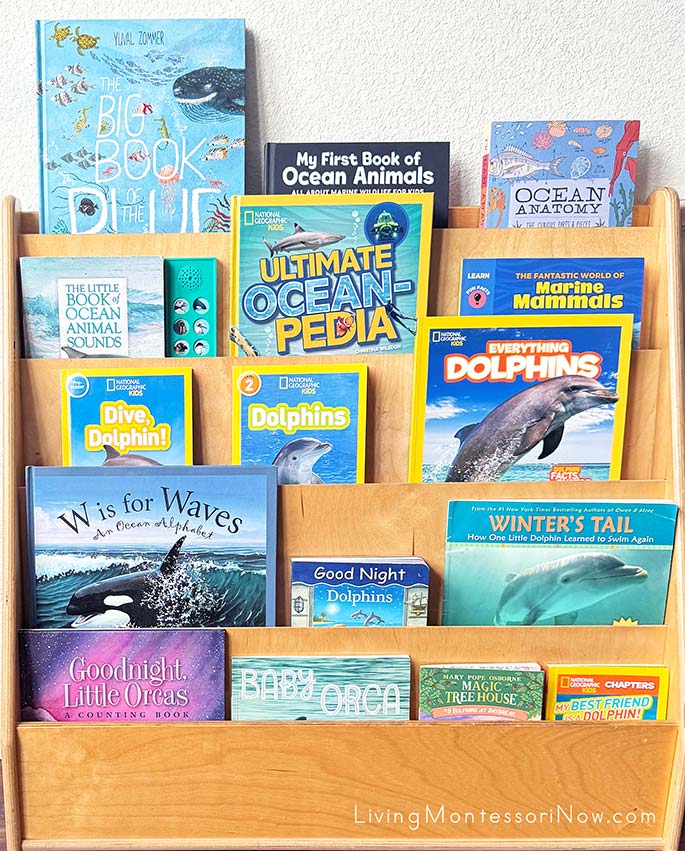 Books for a Dolphin Theme Books for a Dolphin Theme