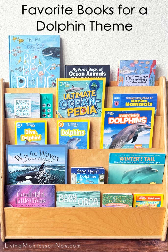 Favorite Books for a Dolphin Theme Favorite Books for a Dolphin Theme