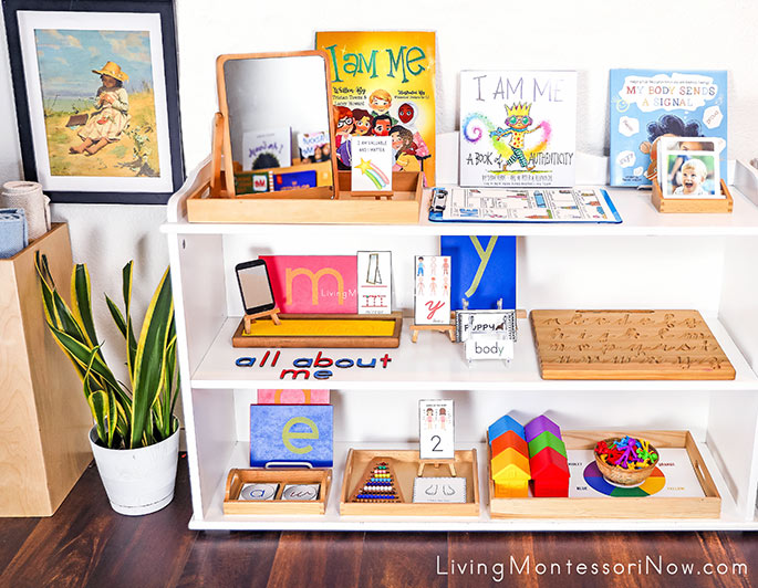 Montessori Shelves with All About Me Themed Activities and The Young Botanist Art Print Montessori Shelves with All About Me Themed Activities and The Young Botanist Art Print