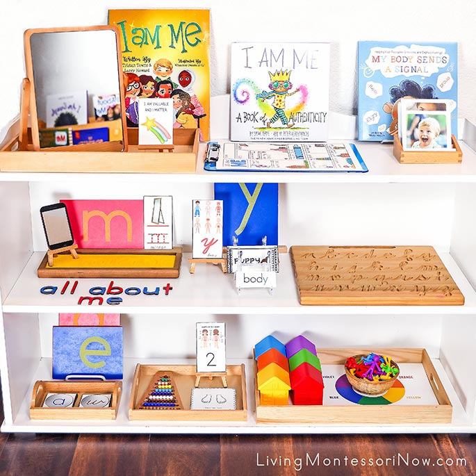 Montessori Shelves with All About Me Themed Activities Montessori Shelves with All About Me Themed Activities