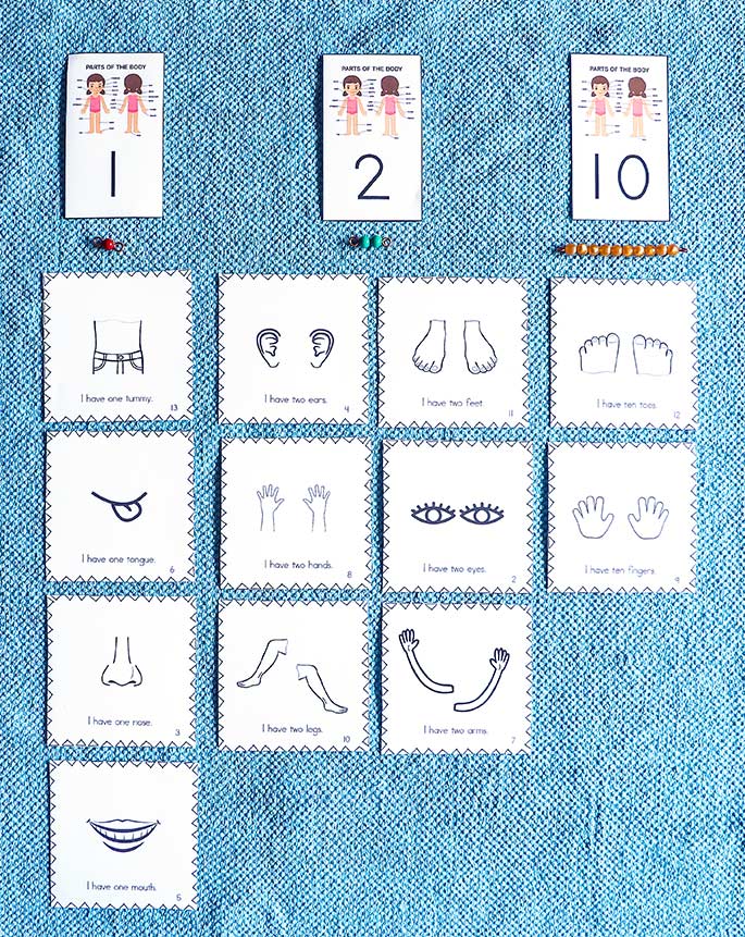 Parts of the Body Math Activity Parts of the Body Math Activity