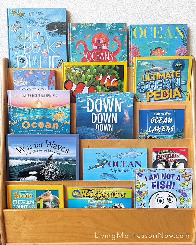 Books for an Oceans Theme Books for an Oceans Theme
