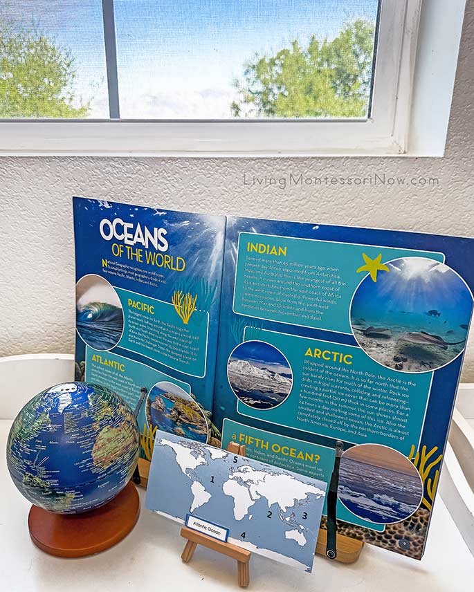 Oceans of the World Pages from Ocean Animals Book with Globe and Ocean Identification Activity Oceans of the World Pages from Ocean Animals Book with Globe and Ocean Identification Activity