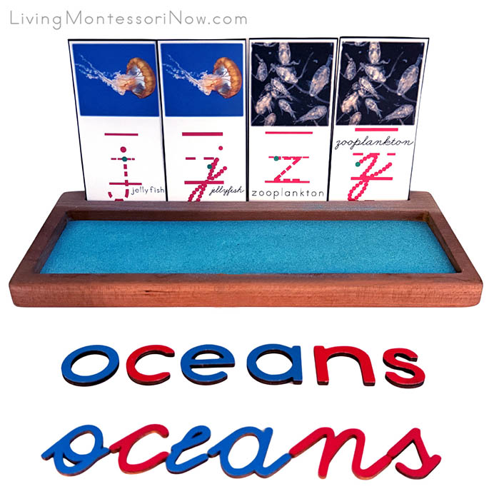 Sand Writing Tray for an Oceans Theme Sand Writing Tray for an Oceans Theme