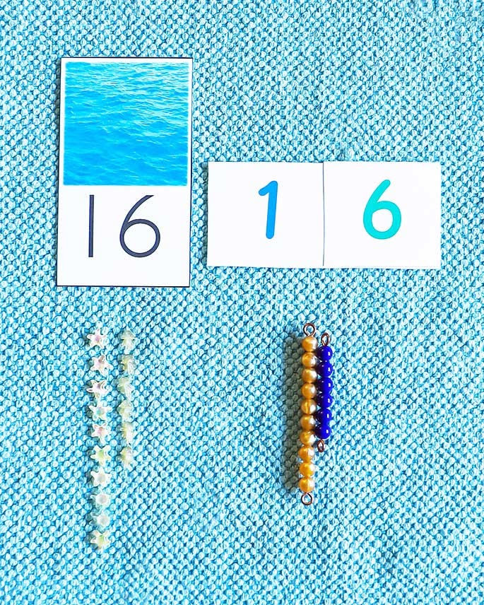Teen Number Ocean Animals Work Teen Number Ocean Animals Work