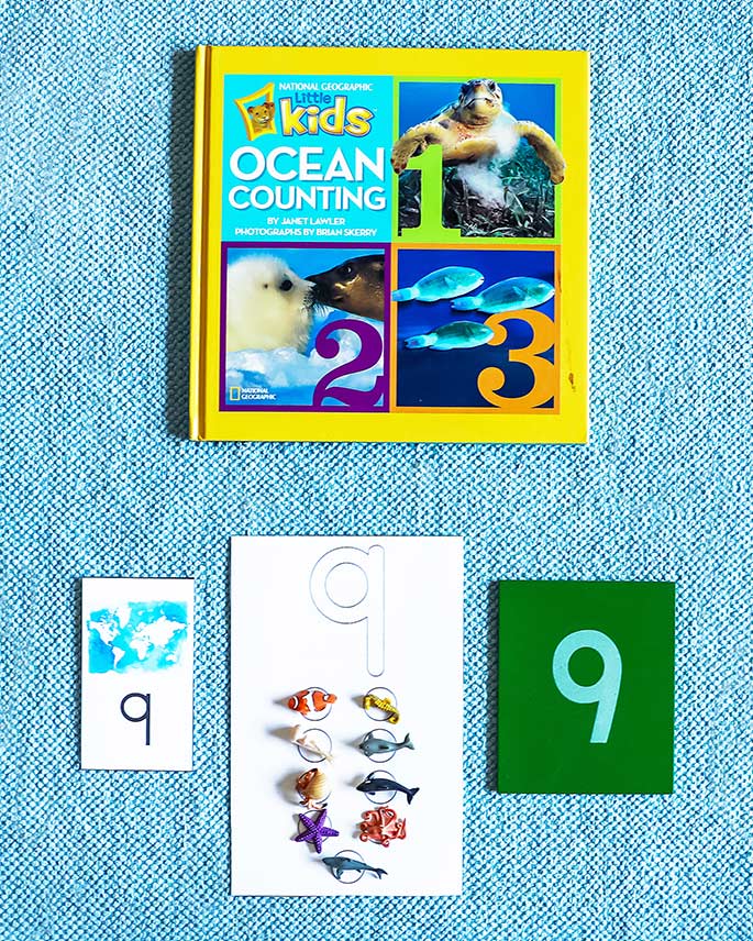 The Kids Ocean Counting Book with Ocean Animal Counting Activity The Kids Ocean Counting Book with Ocean Animal Counting Activity
