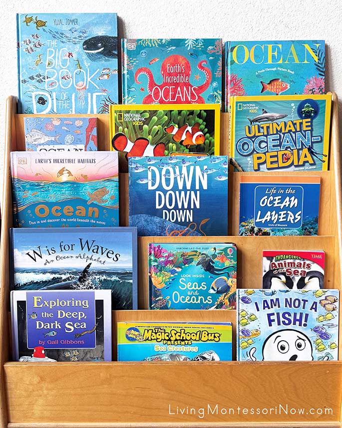 Books for an Oceans Theme Books for an Oceans Theme